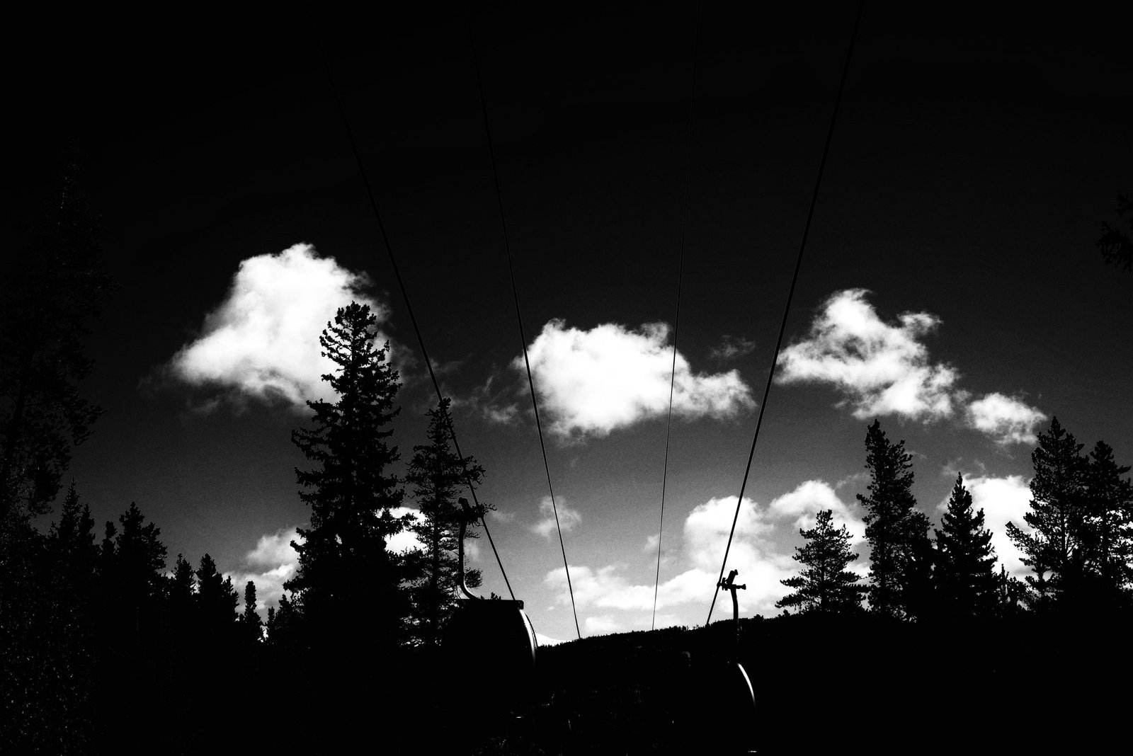 The land with no leaders